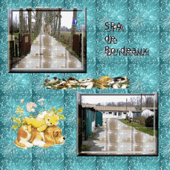 Refuge Animalier: SPA De  Bordeaux