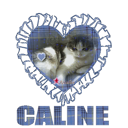 Caline
