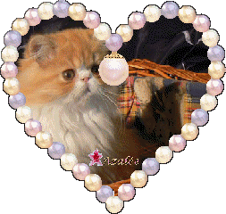 Merci pour  vos superbes  gifs!!