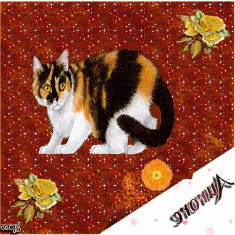 Noms de chats: Aurore