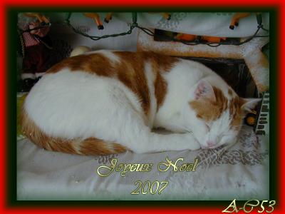 Cadeau recu d'Annieclaire53