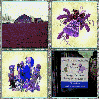 Refuge d'Amance (Lorraine)