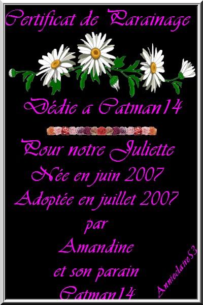 Cadeau d'Annie-claire (Rosedeporcelaine)