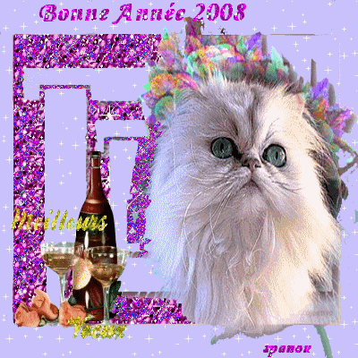 Premiere crea  nouvel an