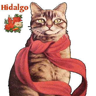 Noms de chats: Hidalgo
