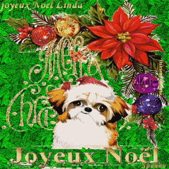 Pour Groseille le retour