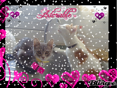 Mes 2 filleules , Juliette et Melody