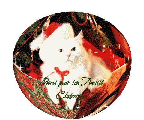 Cadeau de Claire005