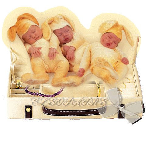 Merci pour  vos superbes  gifs!!