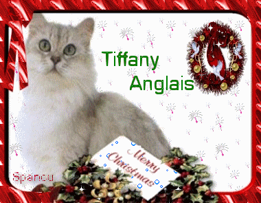 Tiffany Anglais