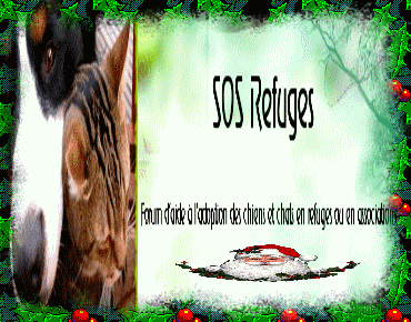 SOS REFUGES